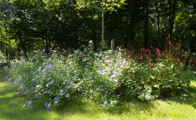 img-7
