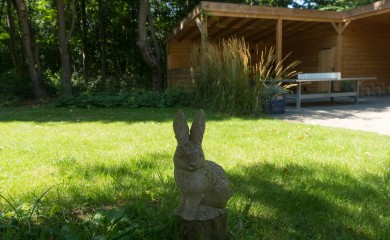 img-13