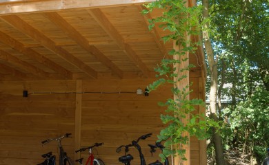 img-14