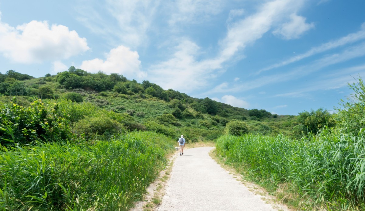 Wandern Zoutelande Ferienhaus Vlissingen